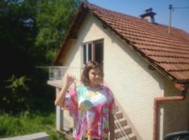 A picture of the hotel: Small house in Celje