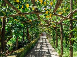 Ξενοδοχείο φωτογραφία: Agriturismo Il Giardino di Vigliano