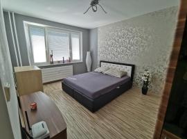 Хотел снимка: Zvolen Apartment /3 izbový byt