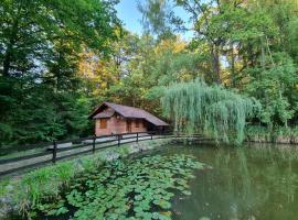 A picture of the hotel: Cottage by the pond Pavel