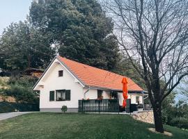 Gambaran Hotel: The Brengova house