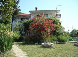 Hotel Foto: Apartments with a parking space Kampor, Rab - 5014