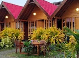 Amazon Beach Cabana