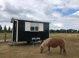 A picture of the hotel: Boerderij de Flesse Wenum Wiesel Pipowagen Hanna