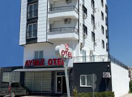 Gambaran Hotel: Ayvaz Otel