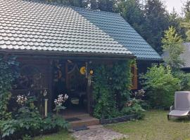 Domek całoroczny u Zosi, hotel in Ptaki