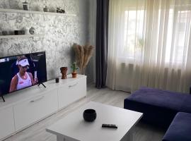 מלון צילום: Alesandru apartament