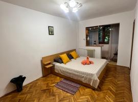 מלון צילום: Miha modern and central apartament Malul Mureșului