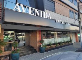 AVENIDA HOTEL DE RESENDE, hotel en Resende