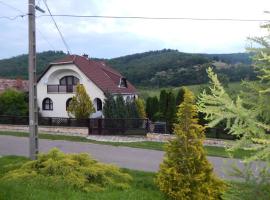 A picture of the hotel: Boltíves Vendégház