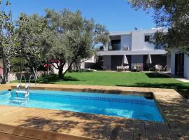 Greek Dream Homes Thimari, Hotel in Kap Sounion
