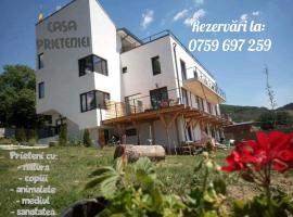 Hotel fotografie: Casa Prieteniei - apartament cu terasa - 3 km Piatra Neamț