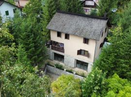 Cabana Brazilor, hotel in Campina