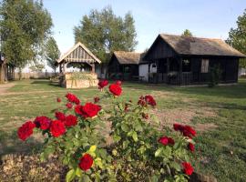 Hotel foto: Rooms with a parking space Tordinci, Slavonija - 15159