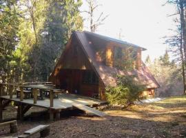 ホテル写真: Roztomilá a utulná chata Azzy na samotě v lese.