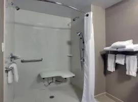 Holiday Inn Express Hotel & Suites Meadowlands Area by IHG