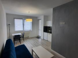 Ξενοδοχείο φωτογραφία: Apartament Katowicka