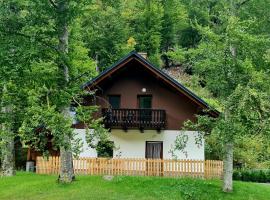 Hotel Photo: Radovna Mountain Valley Cottage