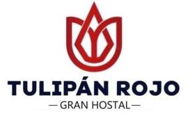 होटल की एक तस्वीर: Hostal Tulipán Rojo