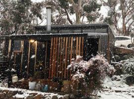 ReThynk Unique Tiny home East Jindabyne, Hotel in Jindabyne
