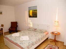 Hotel Foto: City Central Studio , Ploiesti