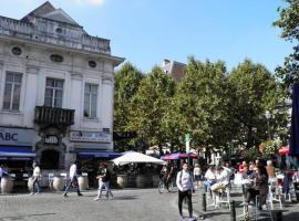 מלון צילום: Spacious duplex in Brussels Historical Center