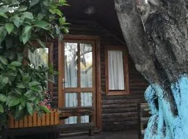 Zeytindağı bungalow