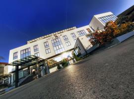 A picture of the hotel: Hotel Lav Vukovar