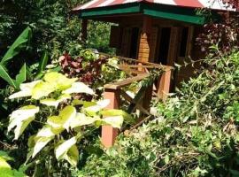 Berkey's Jungle Paradise, ξενοδοχείο σε Ροζό