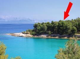 Hotel Photo: Seaside holiday house Cove Grebisce, Hvar - 3375