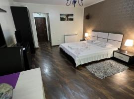 Studio Casa, hotel in Galaţi