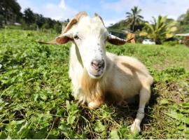JO's Farmstay-charming holiday farm close to famous Muri Beach, hotel v destinaci Rarotonga