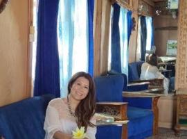 Kashmir View group of Houseboat, Hotel in Srinagar