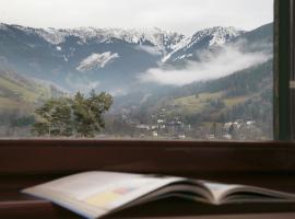 Lake and Cityhotel Edelweiss - self Check in, hotel v destinaci Zell am See