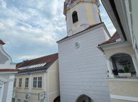 Fotos de Hotel: Hagmann's Altstadt Appartement