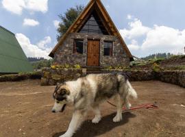 Bosque de Perlillas, Hotel in Mexiko-Stadt