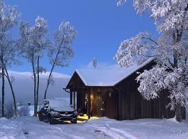 Photo de l’hôtel: Bruksvallarna - Modern fjällstuga med panoramautsikt och WiFi