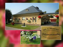 A picture of the hotel: B&B Bloemenweelde