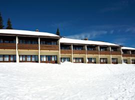 Hotel Brinje, hotel in Zreče