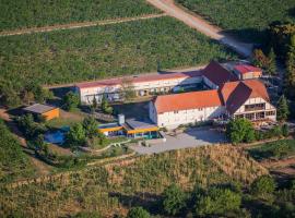 Hôtel du Bollenberg - Restaurant "Côté Plaine" - Spa de la Colline, hotel en Westhalten