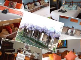 Hotel foto: Top House Bed and Breakfast