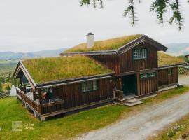 A picture of the hotel: Grand cabin Nesfjellet lovely view hot tub sauna