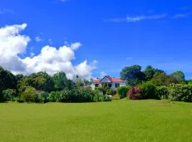 The Litchi Tree Amber Mountain Boutique Hotel