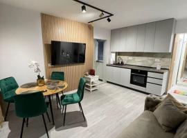 Zdjęcie hotelu: Oxana Apartments - 3 camere - Timisoara