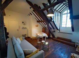 Gambaran Hotel: Magnifique Appartement Beaux arts