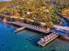 Assos Dionysos Special Class Hotel Adults Only 12 years