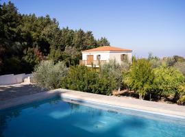 Hotel fotoğraf: Chaihoutes stone villa into Olive farm in Zia