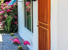 Foto di Hotel: Newly Remodeled Midcentury Pink Flamingo Casa (40)