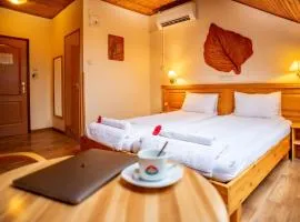 Hotel Manzard Panzio