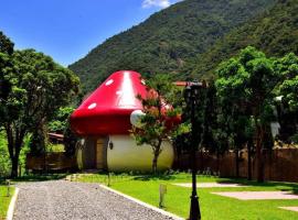 Hotel Foto: Mushroom Forest Guesthouse Camping Site